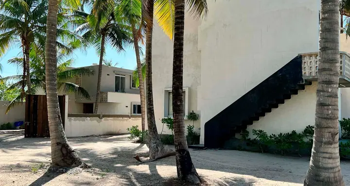 Edificio entre palmeras